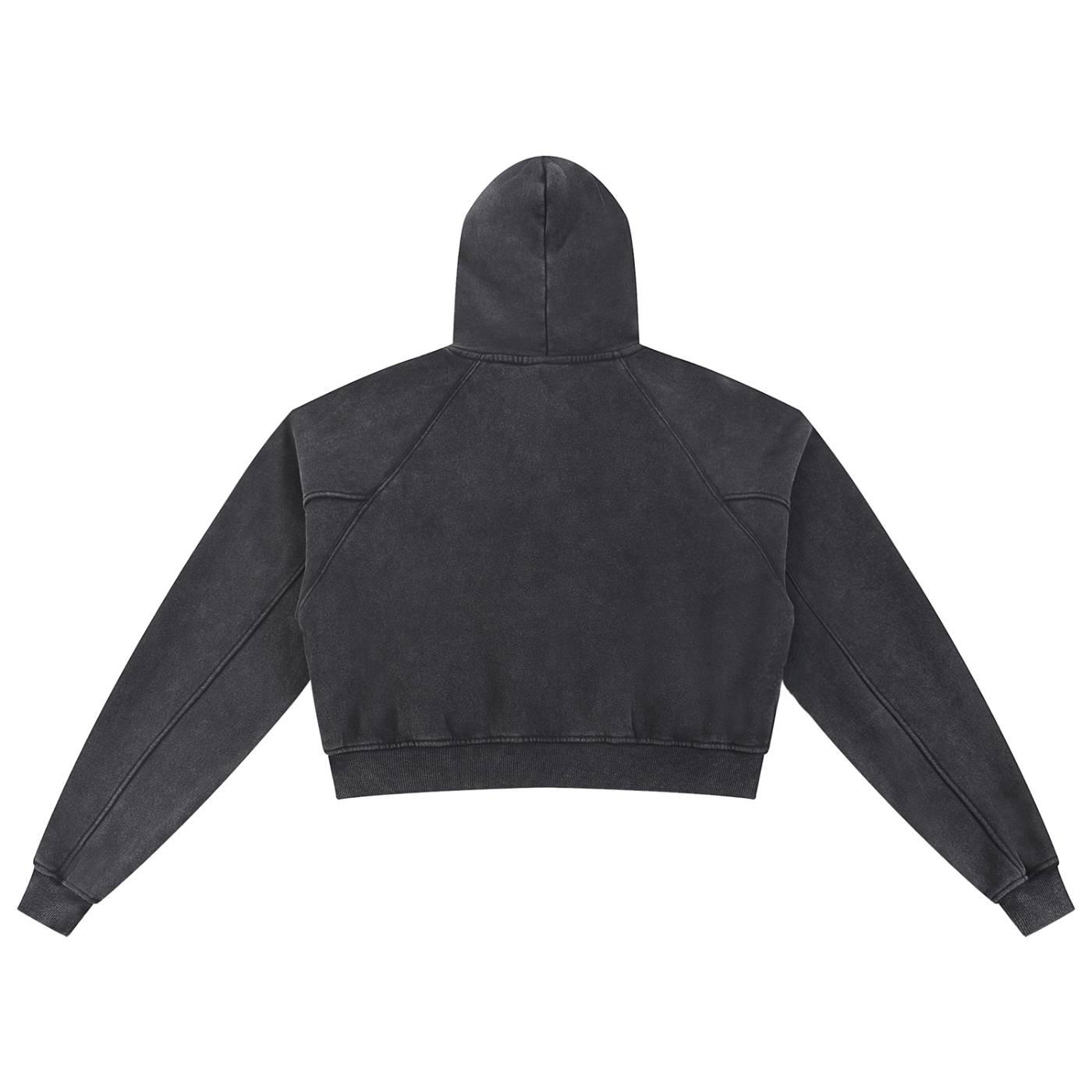 In Spite Essentials Cropped Hoodie